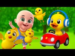 Five Little Birds Song New Compilation | Baa Baa Black Sheep | Baby Cartoon and Kids Songs Baby Bobo
