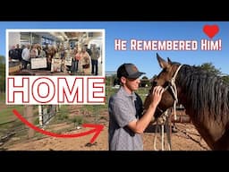 Tears, Delays & a Horse Reunion — Blake Comes Home 🐴❤️