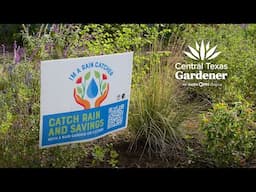 Rain Gardens: Catch and Hold Runoff Water