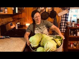 It Sure is Pretty Right Now || Cabbage Harvest & Garden Work || June 2025