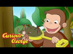 George's Search for Worms! 🐵 Curious George 🐵 Kids Cartoon 🐵 Kids Movies