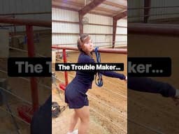 Horses at the Barn Be Like! 🤣 #animals #shorts #equestrian