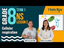 Gr 8 Natural Sciences | Term 1 | Lesson 2 - Cellular respiration