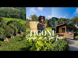 TIGONI'S BRAND NEW TEAPOD AIRBNB (Is it worth it?)/Kenya travel vlog