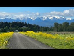 Spring Walk at Dungeness River Levee with Skye – Celebrating Sequim Irrigation Festival