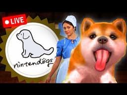 Amish Nintendogs | Live Amish Romance Read Through