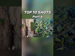 Top 10 Shots with the EDgun Leshiy 2 (Part 6)