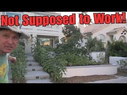Everyone Said You Can’t Grow Food Here… He Proved Them Wrong