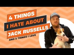 4 Things I Hate About Jack Russell Terriers (and 5 Things I Love)