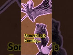 👀 Something’s landing very soon. 🔔 Subscribe and get those notifications ON