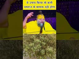 ये उपाय किया तो कभी यमराज से सामना नहीं होगा #shorts #premanandji #tulsi