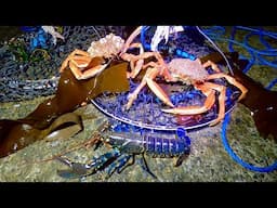Crab Wheeling with Success from a Lighthouse - Lobster Catch & Cook
