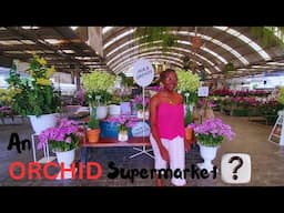 A Never Before Orchid Experience || An ORCHID SUPERMARKET || THAILAND