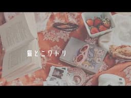 vlogアメリカ田舎暮らしの日常：海外生活｜