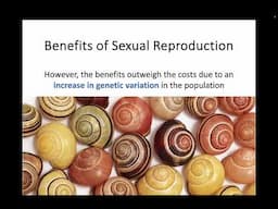 AH Biology 2.3 - Variation and Sexual Reproduction