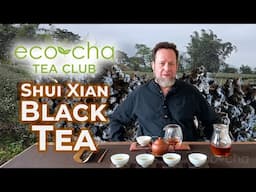 Eco-Cha Tea Club: 111 - Shui Xian Black Tea | Eco-Cha Teas