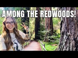 First Time Seeing REDWOODS! 🌲 Hiking in Muir Woods - Solo in San Francisco (Day 3)