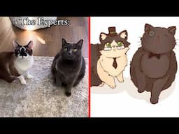 Silly Animal Moments You Need To Watch Right Now