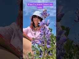 Nature shares her wise and loving messages with us every day #poetry #naturelovers #affirmations