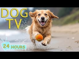 DOG TV: Ultimate Video to Prevent Dogs Boredom When Home Alone - Best Collection Relax Music for Dog