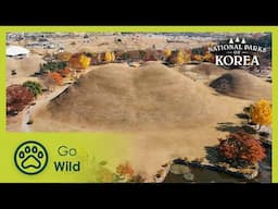 People | National Parks of Korea 3/3 | Go Wild
