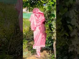 Sunday morning 🌺 #villagelife #gaanv #kheti #lifestyle  #trending #ytshorts #haryanvisong