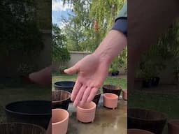 Great Garden Finds from BHG Walmart