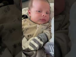 This little one is pure entertainment! 😂👶 #baby #funnybaby #funny #funnyvideos #funnybabies #cute