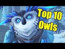 Pointless Top 10: Owls in World of Warcraft