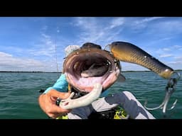 THIS LURE IS DEADLY | South Florida Kayak Grouper and Snook Plugging/Fishing!!