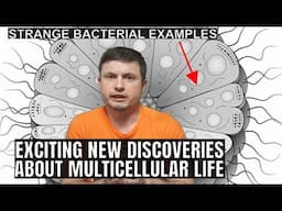 Experiment Reveals Why Life Became Multicellular and It's Quite Surprising
