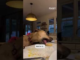 They never saw that coming 👀 #kitchen #friends #cook #fail #shorts