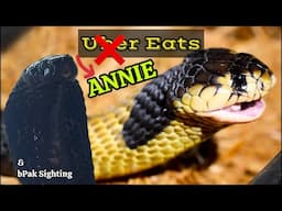 Annie Eats