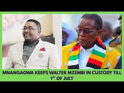 MNANGAGWA KEEPS WALTER MZEMBI IN CUSTODY TILL 1ST OF JULY