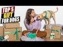 Top 5  Best Gifts for Dogs in 2025: Treats, Toys, and More!