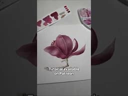 Magnolia flowering time in my country. Is it in yours? 🤩 #magnolia #spring #watercolorpainting