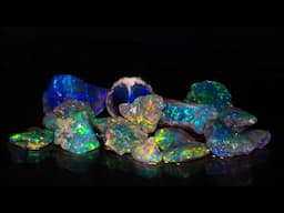 LIVE Roughing Opal session - Big Announcement incoming!