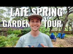 What’s Thriving in My Central Texas Native Plant Garden (Late Spring Tour)