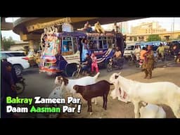 Zameen Par Bakray, Aasman Par Daam! 😂 | Road Side Mandi Vlog 🐐🔥| Karachi Lifestyle