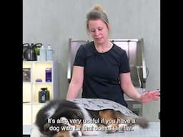 Expert Tip by Ester Porteman - Dry Mate - Head over Tails