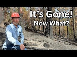 What's Left of My Burned Forest?
