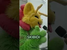 what’s my fursona…