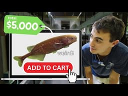 Import Day! $5,000 in Freshwater Fish for the Shop