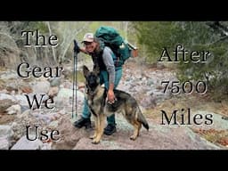 My Dog Backpacking Gear: Minimalist, Practical, and Pup-Approved