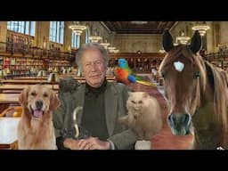 Douglas Bloch's Celebration of Life Jokes