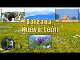Galeana, Nuevo León | Reportajes de Alvarado Lunes 16 de Junio 2025 - Televisa Monterrey