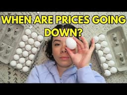 WHY ARE EGGS SO EXPENSIVE? | 2025 Egg Epidemic in the United States