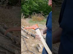 Save your back with a Pickeroon!