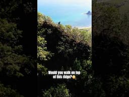 Just like a chameleon, you need to be slow and careful when you are walking on a narrow ridge