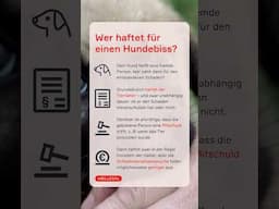 Hundebiss: Haftet der Tierhalter? | WBS.LEGAL #shorts